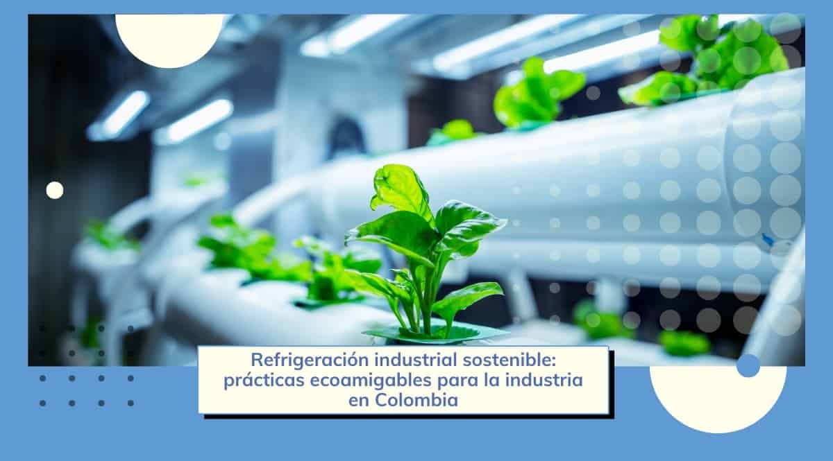 Hacia una refrigeración industrial sostenible en Colombia